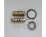 canted coil spring